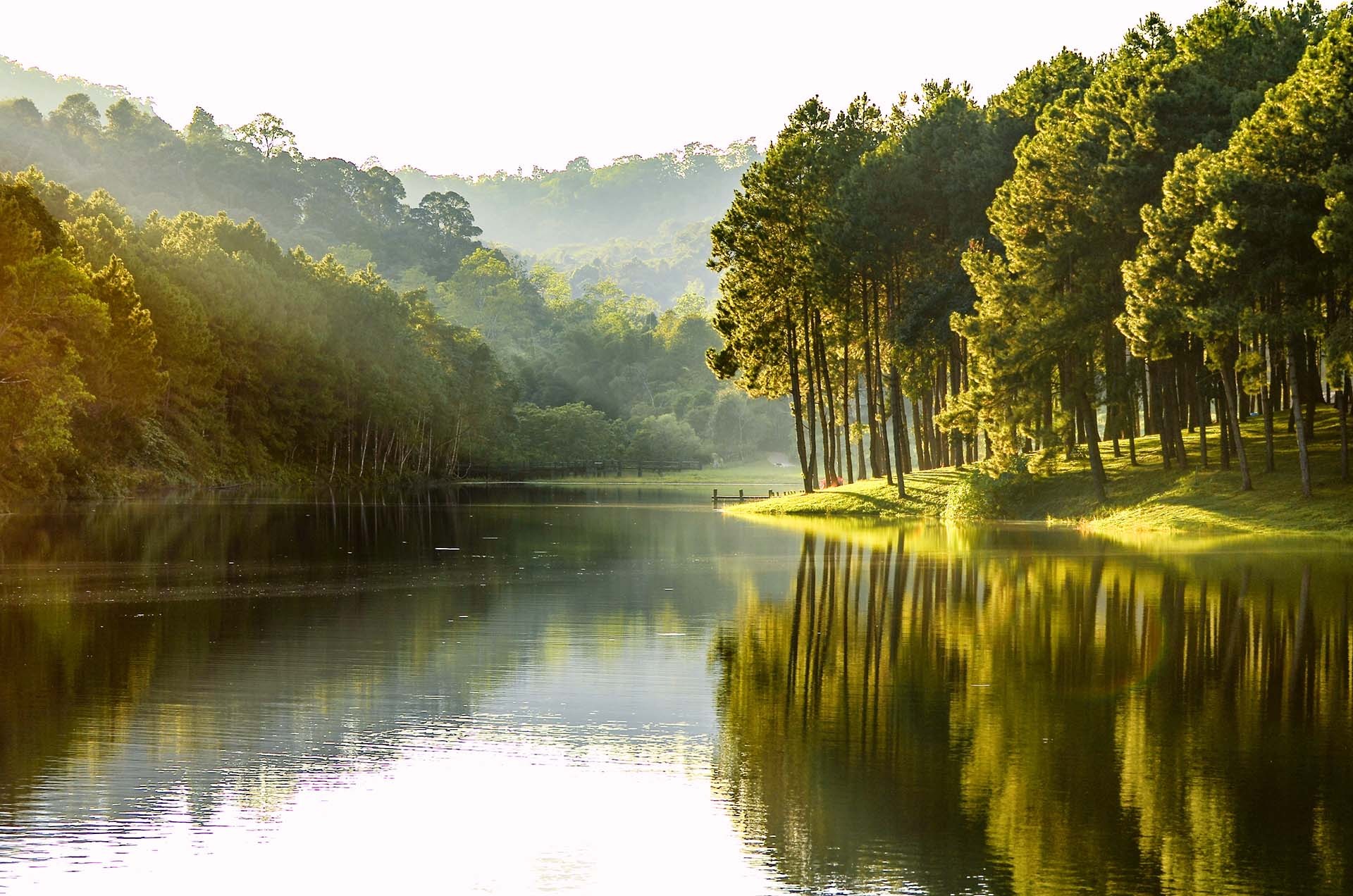 a clean river in the summer